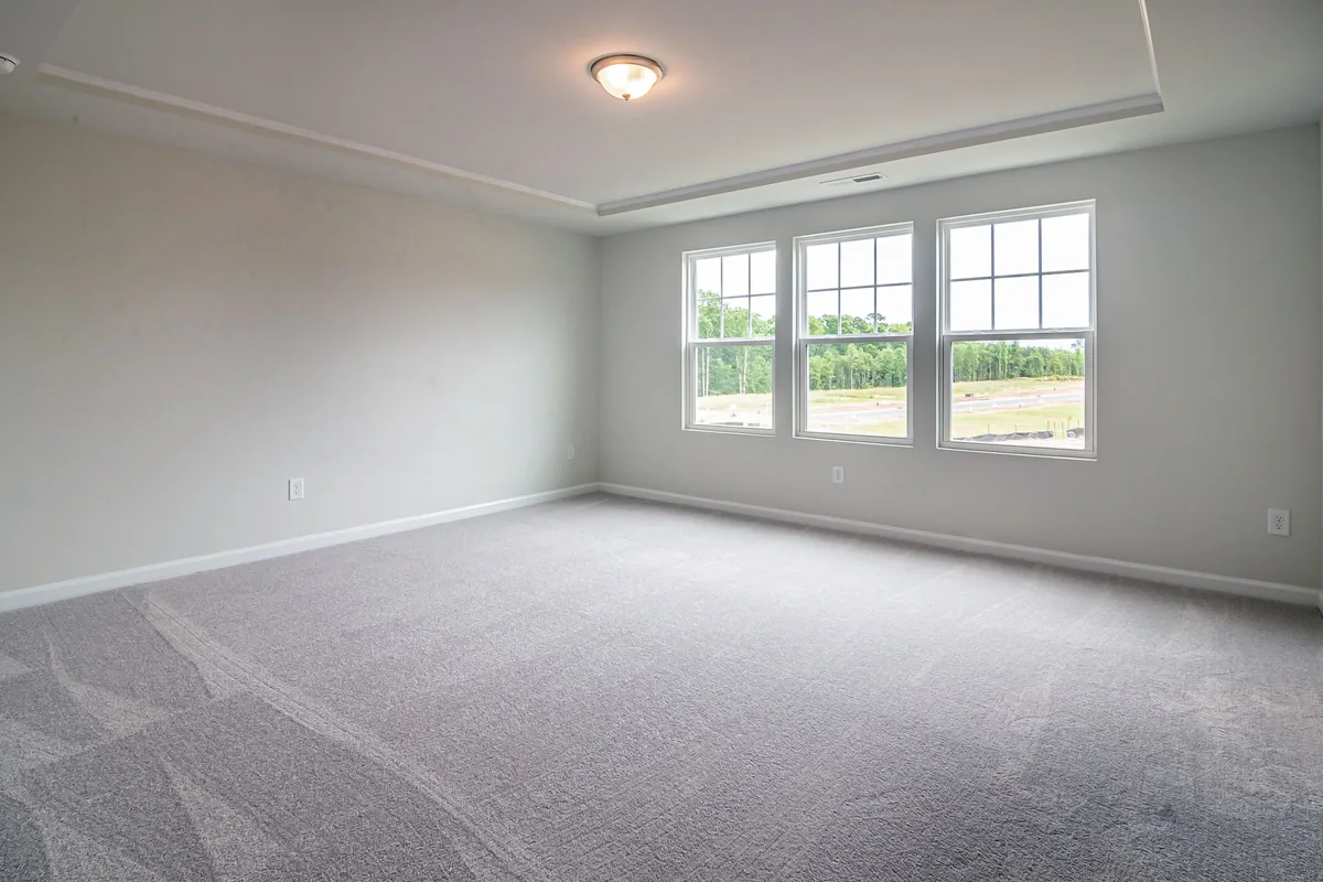 Plush carpet in a bright spacious bedroom